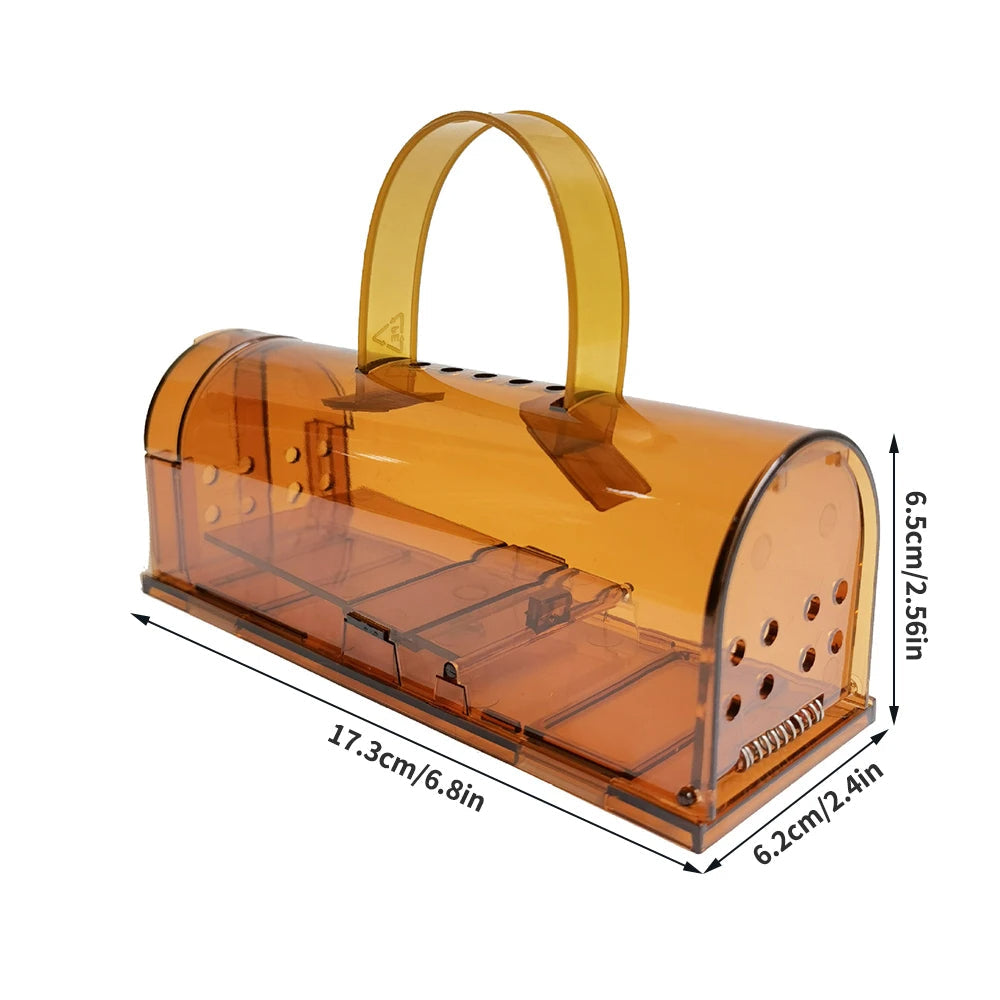 You Can See Inside
