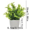 Artificial Plants With Pots