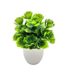 Artificial Plants With Pots