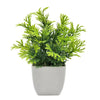 Artificial Plants With Pots