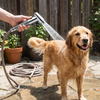 High Pressure Showerhead
