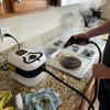 2500W High Pressure Steam Cleaner with Gloves
