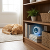 Ultrasonic Spider Repeller
