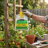 Eco Disposable Outdoor Fly Trap
