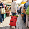 2-in-1 Foldable Shopping Bag with Wheels
