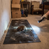 Large, non-toxic trap for effective pest control