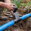Large, non-toxic trap for effective pest control