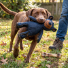 Durable Plush Dog Bear