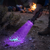 UV Flashlight for Bed Bug Detection and Stain Finder