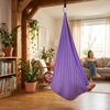 Sensory Autism Therapy Swing Indoor and Outdoor Hammock