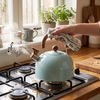 Whistling Kettle for Hot Drink Preparation