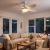 Ceiling-mounted fan