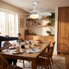 Ceiling-mounted fan