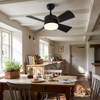 Ceiling-mounted fan