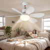 Ceiling-mounted fan
