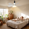 Ceiling-mounted fan
