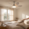 Ceiling-mounted fan