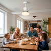 Ceiling-mounted fan