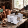 Human Mouse Trap with Safe & Reusable Design