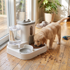2 in 1 Dog and Cat Feeder with Water Dispenser