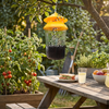 Reusable Outdoor Hanging Fly Trap
