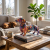 Colorful Dachshund Statue