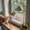 Double-sided magnetic window squeegee