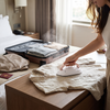 Portable Travel Iron