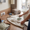 Portable Travel Iron