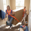 Moving Furniture Straps