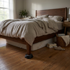 Plastic Bed Bug Trap and Catcher