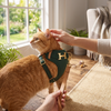 Sisal Cat Scratcher Board Mat for Furniture and Play