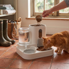 2 in 1 Dog and Cat Feeder with Water Dispenser