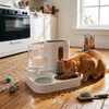 2 in 1 Dog and Cat Feeder with Water Dispenser