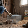 Sliding Door Design Reusable Mouse Trap Cage