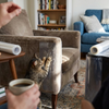 Cat Furniture Scratch Protector