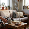 Glass Incense Holder with Removable Ash Catcher