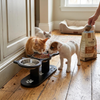 Elevated Cat Bowl with 3 Stainless Steel Dishes