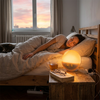 Light Alarm Clock With Nature Sounds