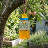 Reusable Fruit Fly Catcher Bottle