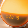 Close-up of the amber digital display and alarm indicators behind the curved lens