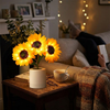 Sunflower Lamp lifestyle photo