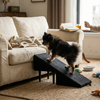 2-in-1 Convertible Dog Ramp and Step Stool lifestyle photo