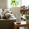 Pet Air Purifier lifestyle photo