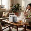 4-in-1 Portable Airconditioner with Humidifier & Purifier lifestyle photo