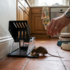 Automatic Mouse Trap Cage with Sensitive Trigger lifestyle photo