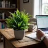 Artificial Plants With Pots lifestyle photo