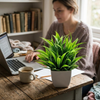 Artificial Plants With Pots lifestyle photo