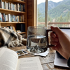 Elegant Glass Cup with Handle lifestyle photo