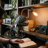 Anglerfish lamp lifestyle photo